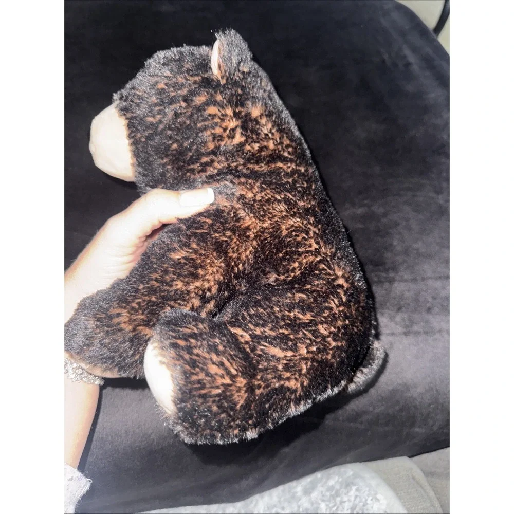 TY Classic‎ Kodi Dark Brown Bear Beanie Missing Ty Ear Tag 10